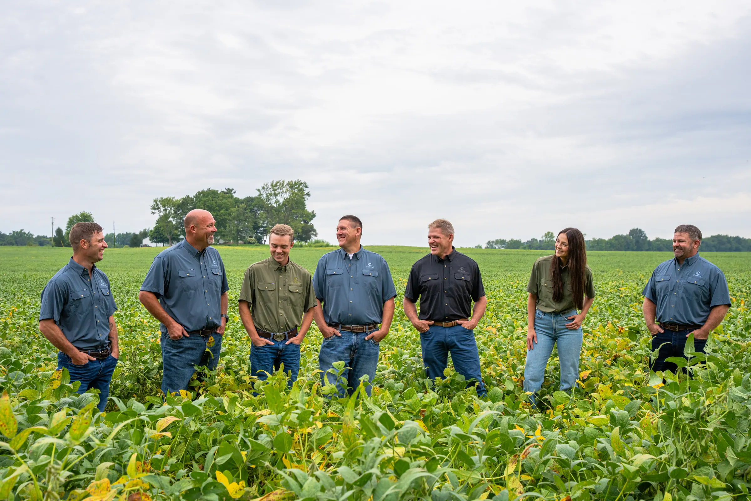 Indiana Specialty Group specialists talking together in a soybean field