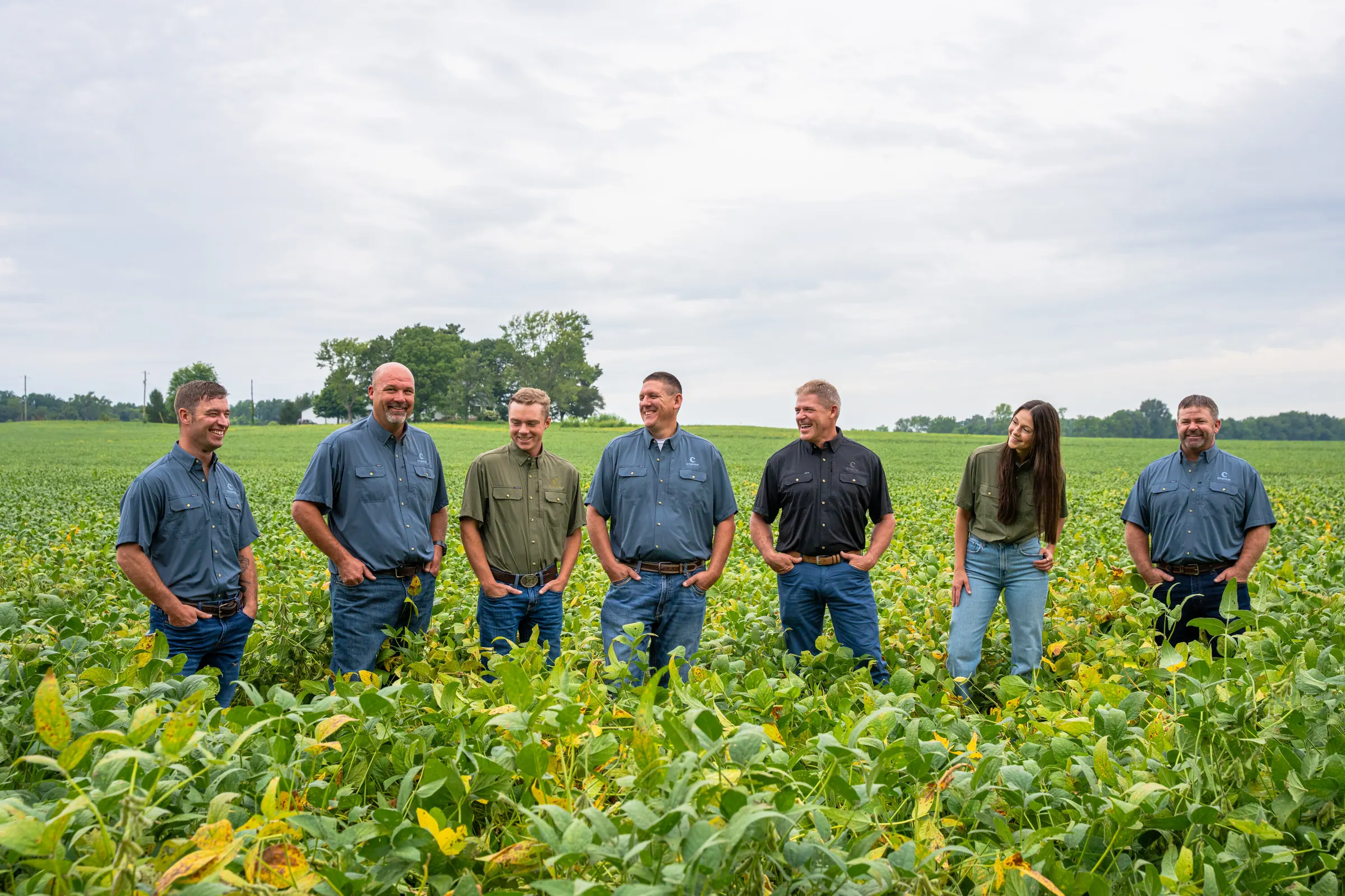 Indiana Specialty Group team talking in a soybean field.